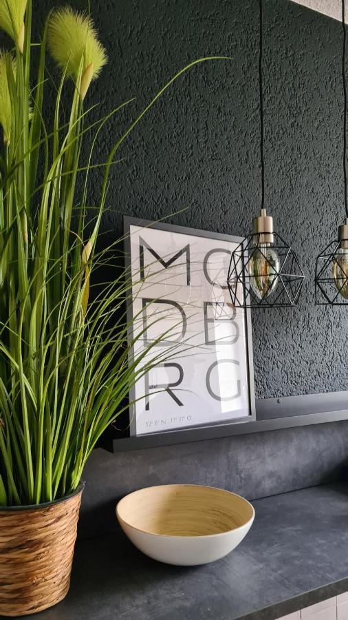 Ferienwohnung, Monteurwohnung, Unterkunft Elise Magdeburg Kültér fotó